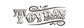 Toyday logo